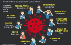 Symptoms of the coronavirus